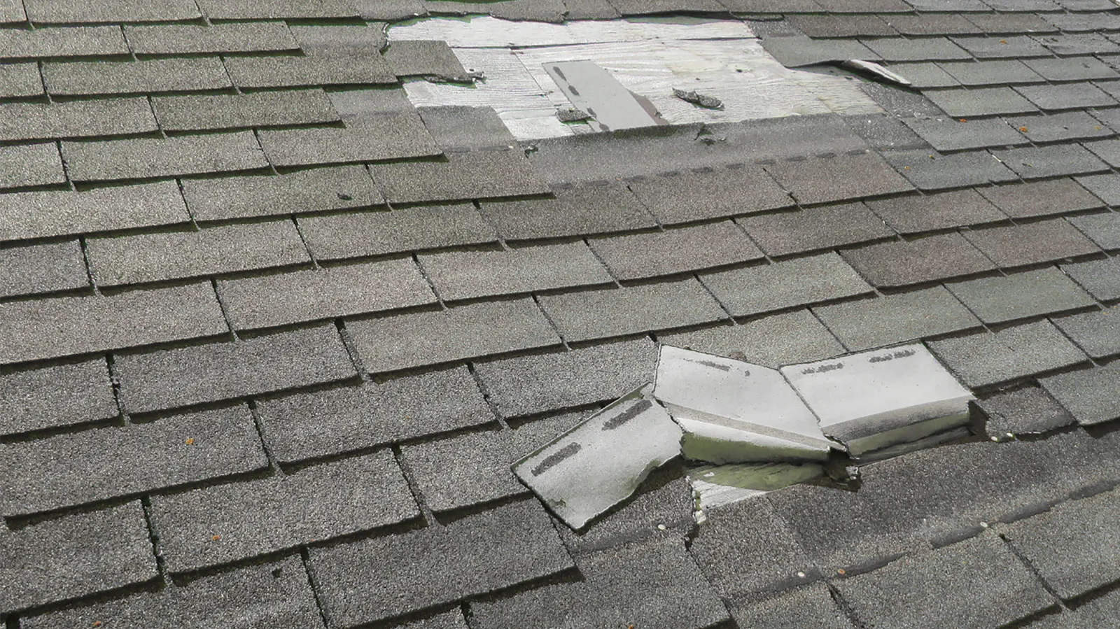 Missing and creased shingles exposing bare wood on a gray roof